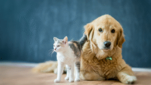 5 Tips for First-Time Pet Owners
